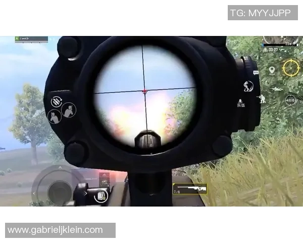 赵娜畅谈和平精英生涯与s15电竞总决赛的精彩瞬间与心路历程