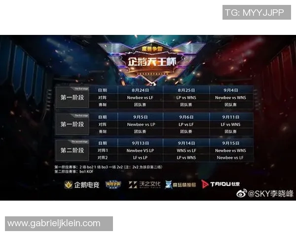 电竞赛后分析V5与WE对决的关键数据与战术解析